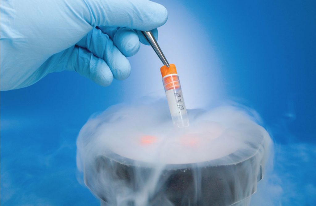 Freezing Embryo