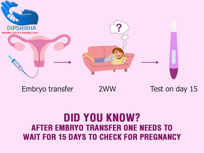 After Embryo Transfer One Needs To Wait For 15 Days To Check For Pregnancy
